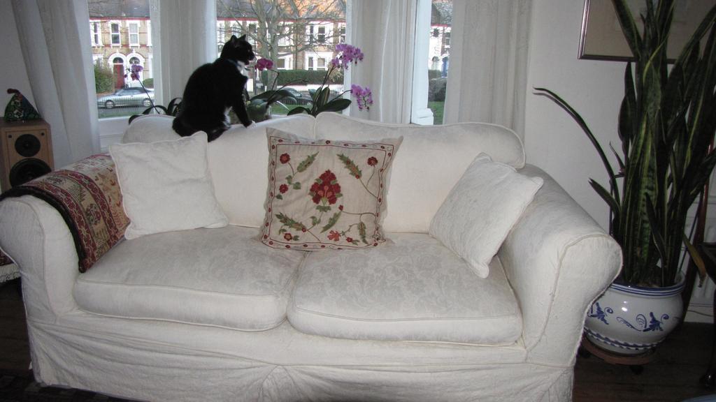 Holmewood Homestay London Bagian luar foto