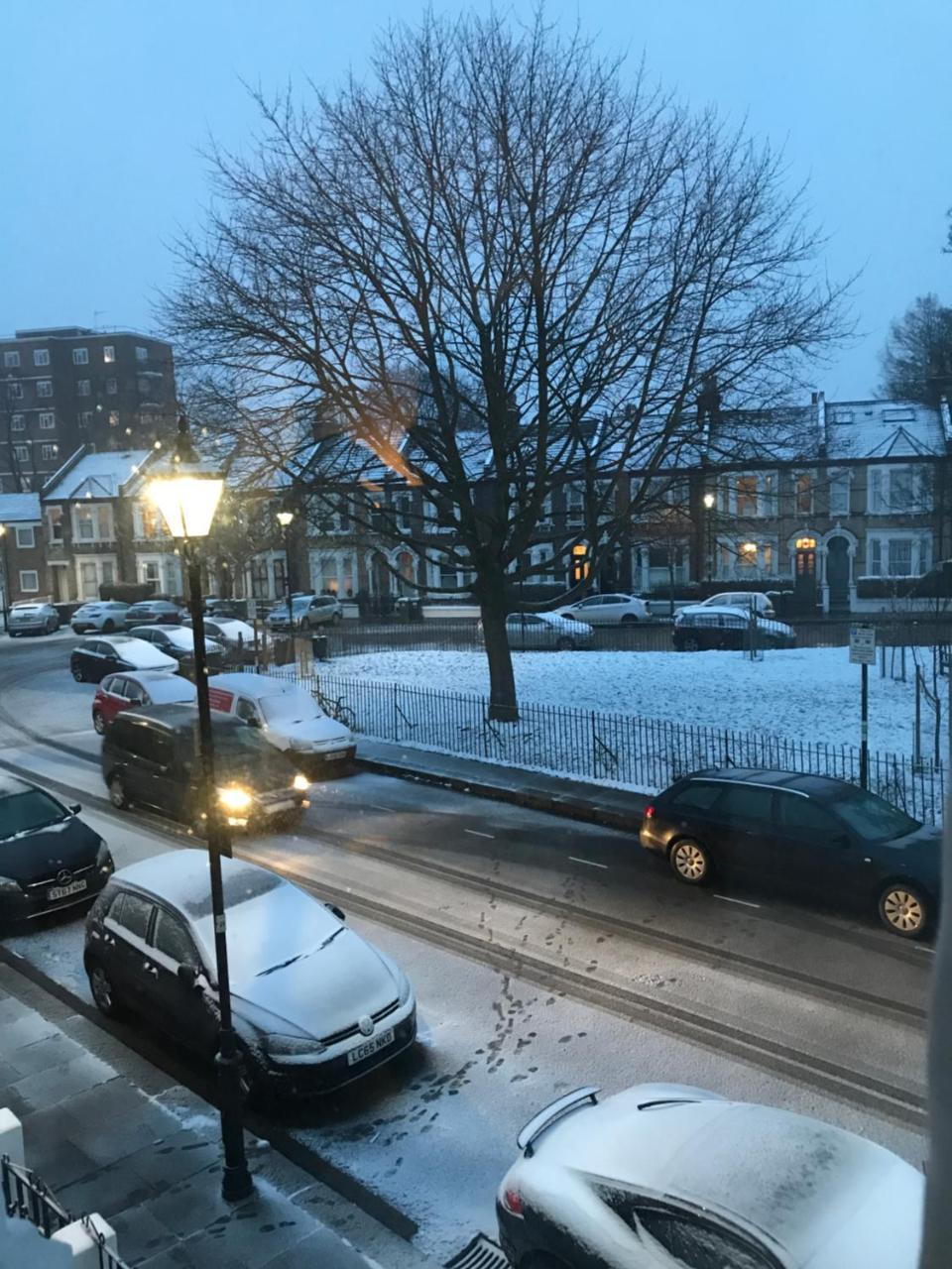 Holmewood Homestay London Bagian luar foto